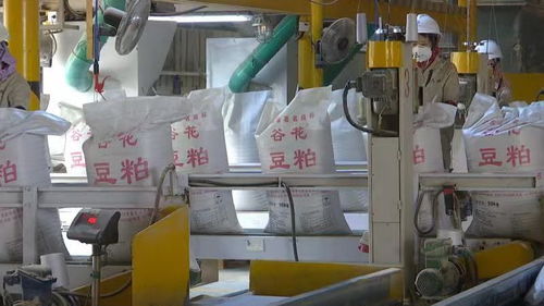 突破20億 漳州港企業實施技改助推產業發展