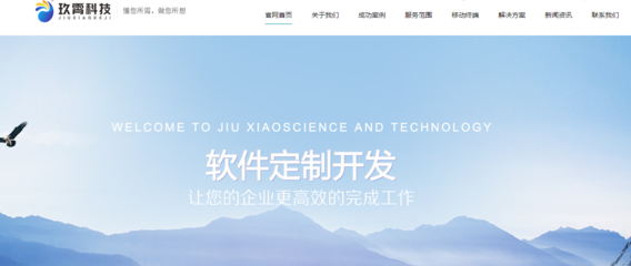 濟(jì)南企業(yè)網(wǎng)站開發(fā) 定制解決方案助您實(shí)現(xiàn)數(shù)字化轉(zhuǎn)型