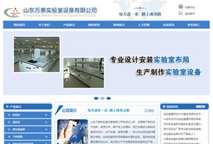 定制化企業(yè)網(wǎng)站 濟(jì)南網(wǎng)站建設(shè)公司的專業(yè)選擇與價(jià)值